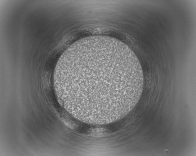 X0000078880695200612111740