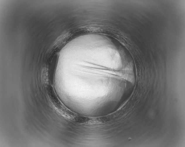 X0000078880696200612111740