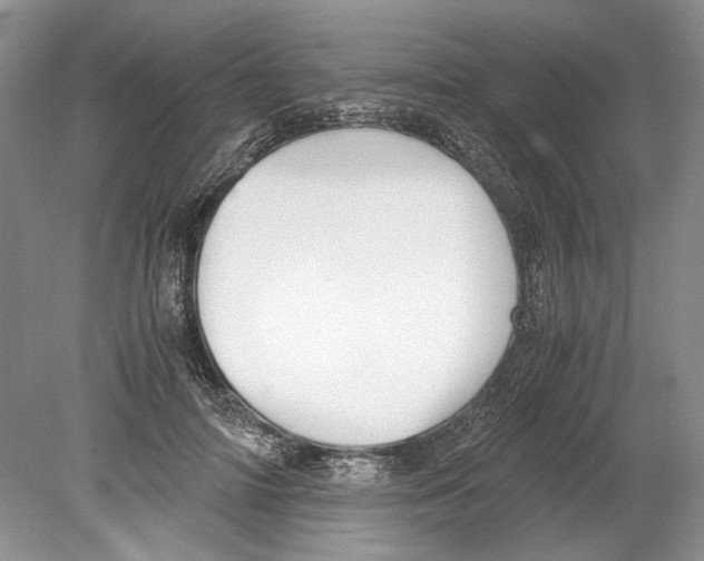 X0000078880698200612111740