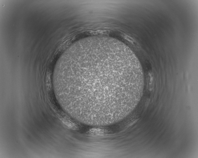 X0000078880699200612111740