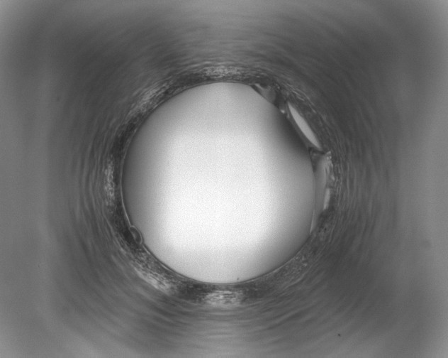 X0000078880700200612111740