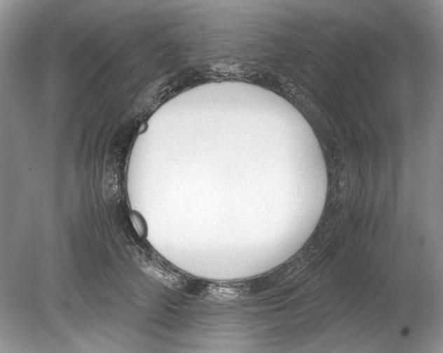 X0000078880706200612111739