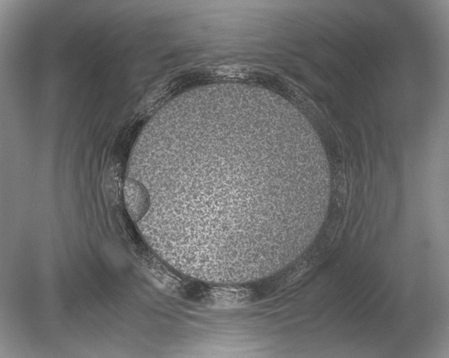 X0000078880707200612111739