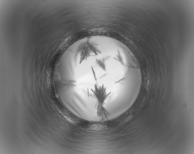 X0000078880708200612111739