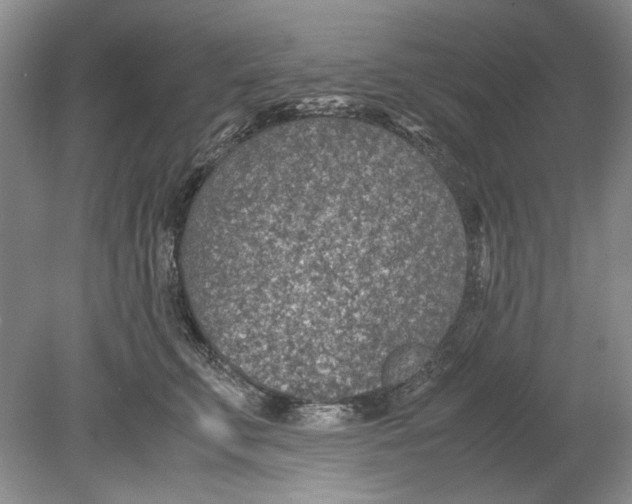 X0000078880711200612111739