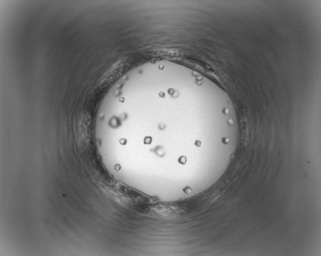 X0000078880712200612111739