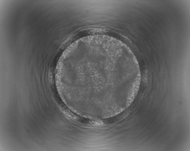 X0000078880715200612111739