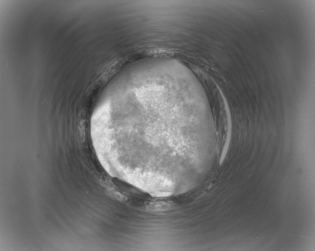 X0000078880716200612111739