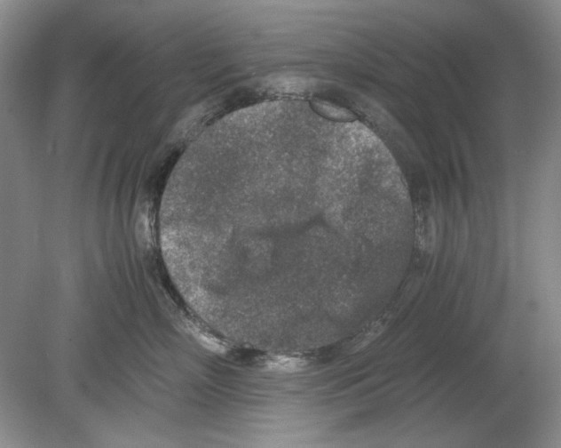 X0000078880718200612111739