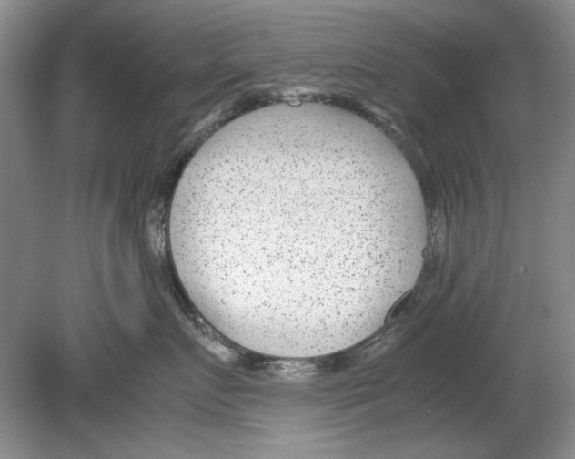 X0000078880719200612111739