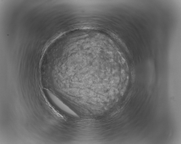 X0000078880721200612111738