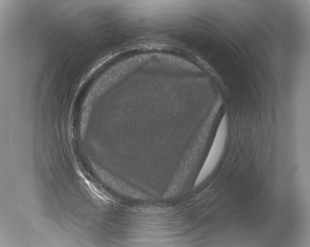 X0000078880722200612111738