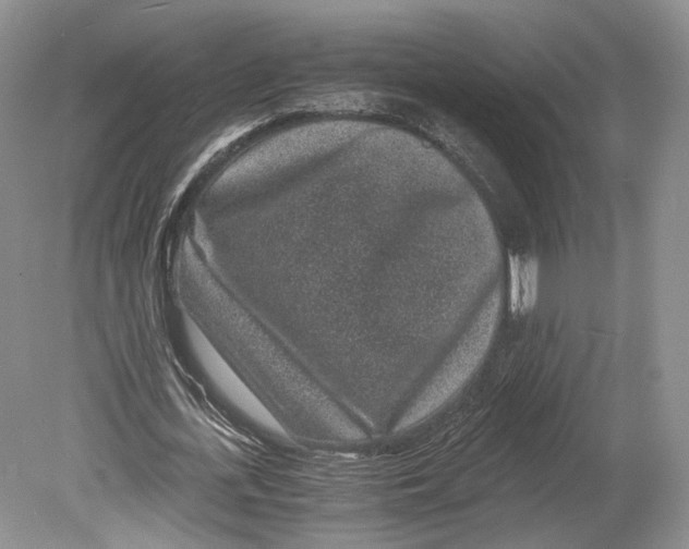 X0000078880723200612111738