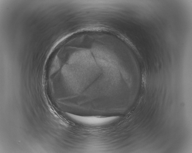 X0000078880724200612111738