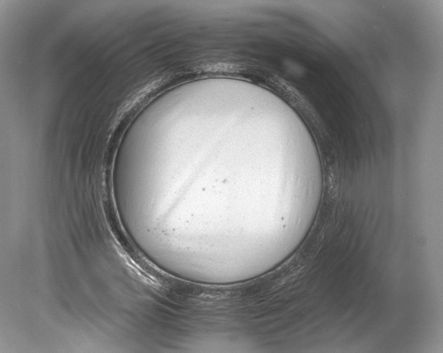 X0000078880725200612111738