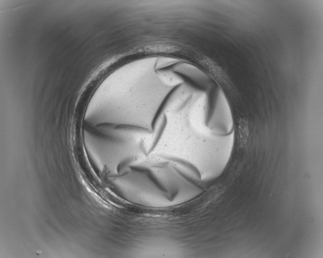 X0000078880726200612111738