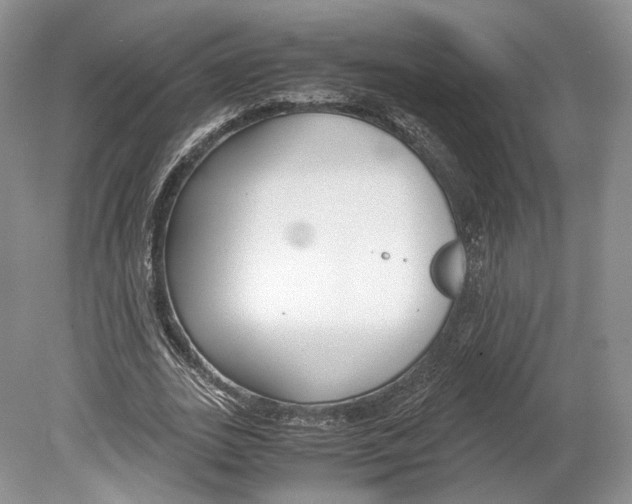 X0000078880727200612111739