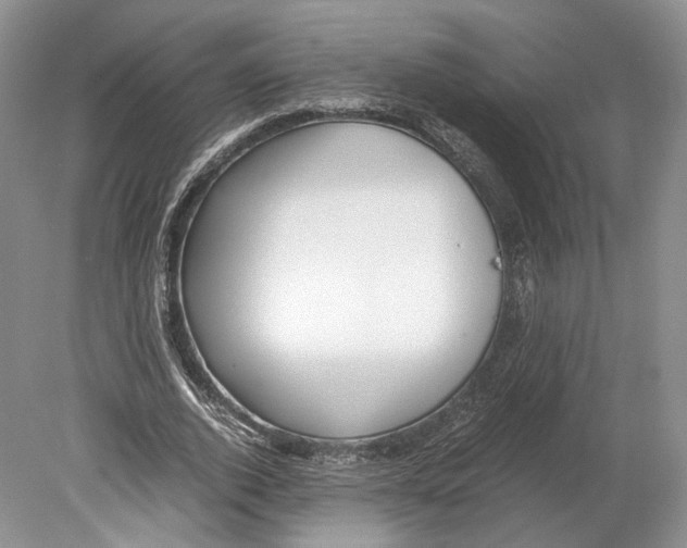 X0000078880728200612111739