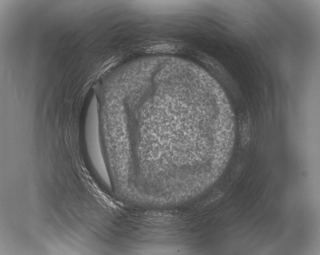 X0000078880729200612111739