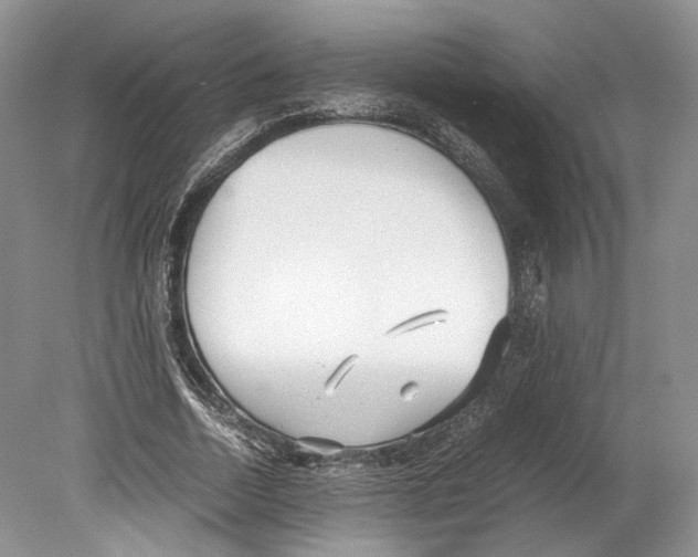 X0000078880730200612111739