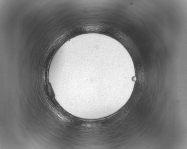 X0000078880733200612111739