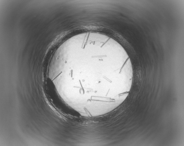 X0000078880734200612111739