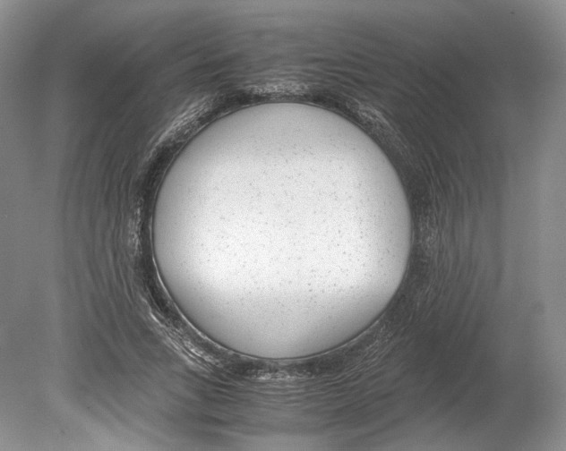 X0000078880735200612111739