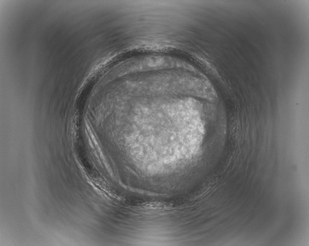 X0000078880736200612111739