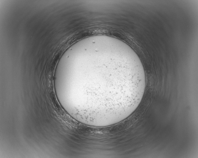 X0000078880737200612111739