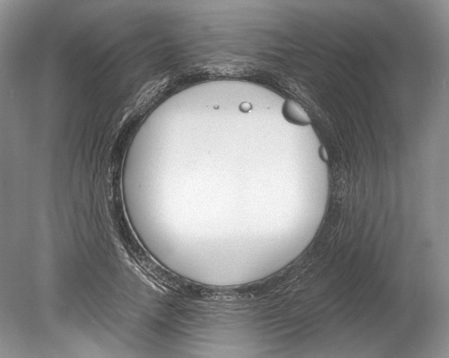 X0000078880738200612111739