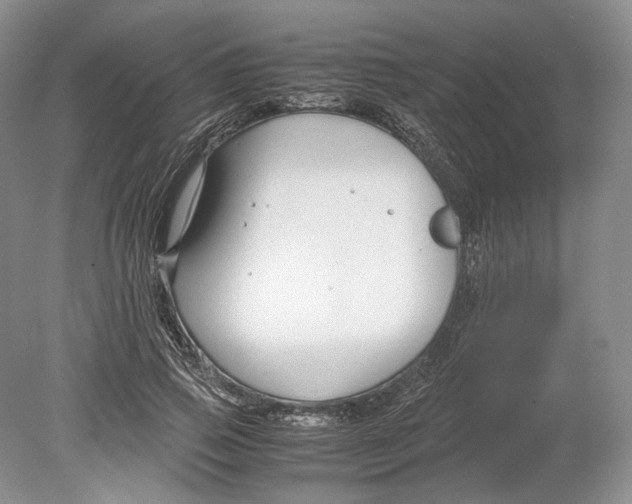 X0000078880741200612111739