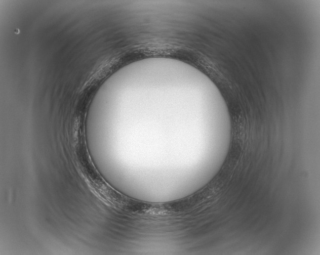 X0000078880742200612111739