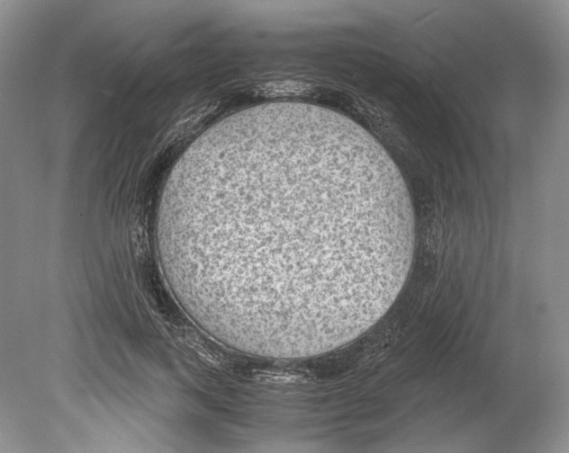 X0000078880743200612111739