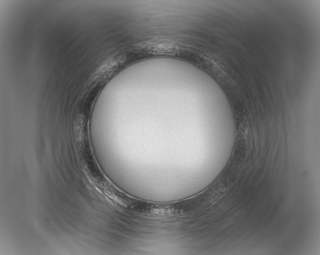 X0000078880744200612111739