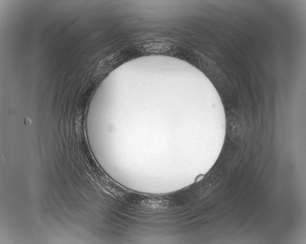 X0000078880745200612111739