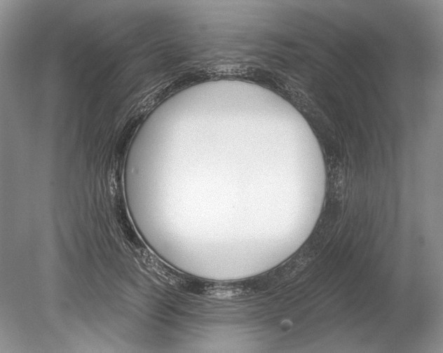 X0000078880746200612111739