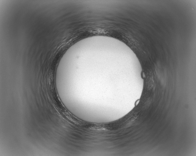 X0000078880747200612111739