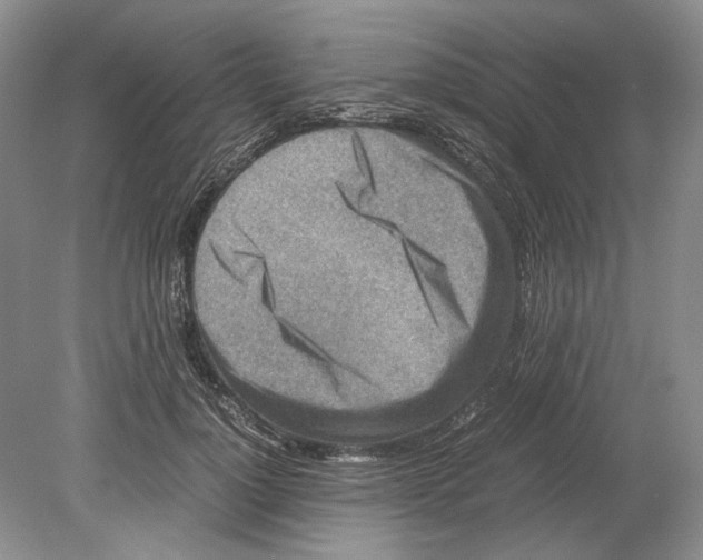 X0000078880748200612111739