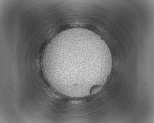 X0000078880749200612111739