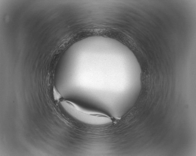 X0000078880750200612111739