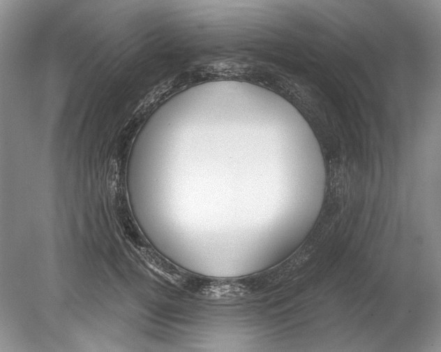 X0000078880752200612111739