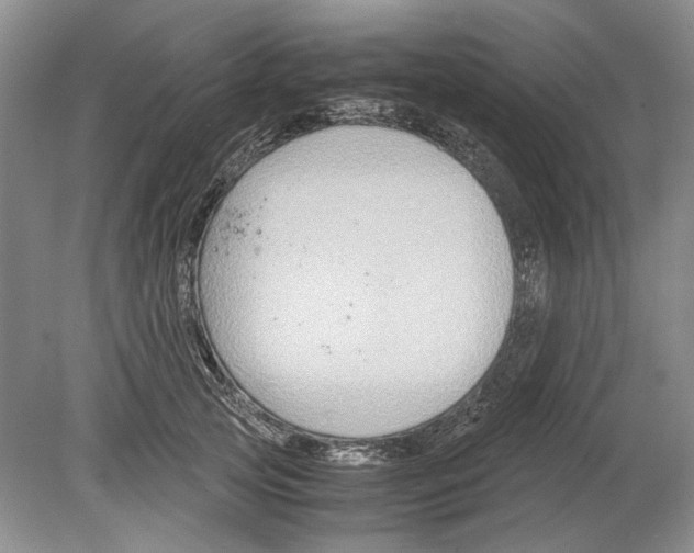 X0000078880753200612111739