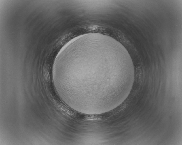 X0000078880754200612111739