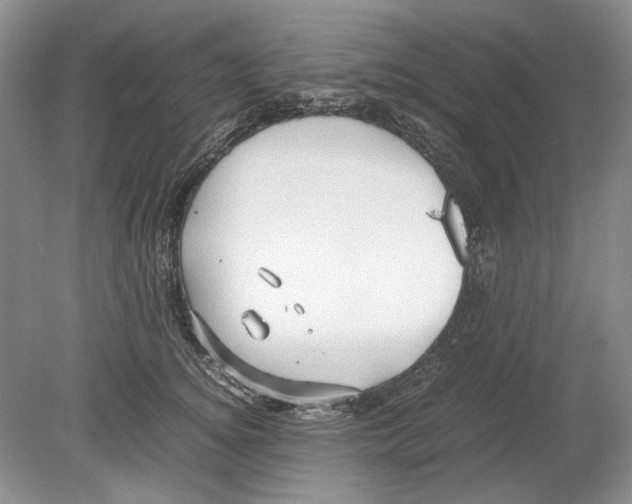 X0000078880756200612111739