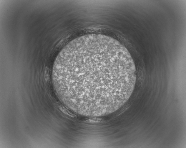 X0000078880758200612111739