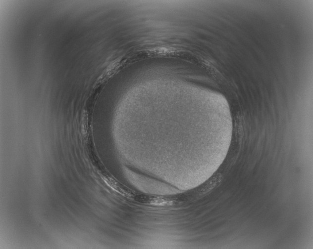 X0000078880760200612111739