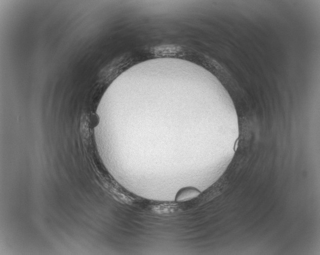 X0000078880761200612111739