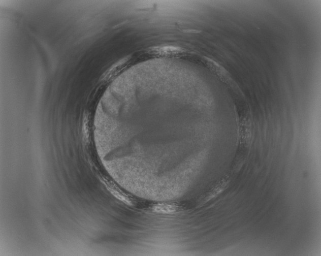 X0000078880762200612111739