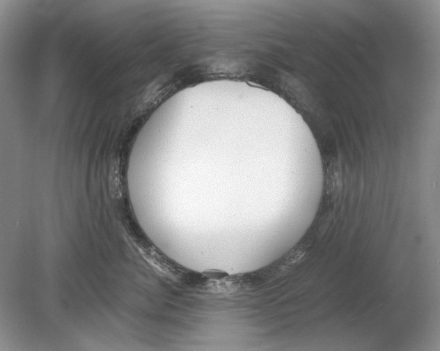 X0000078880764200612111739