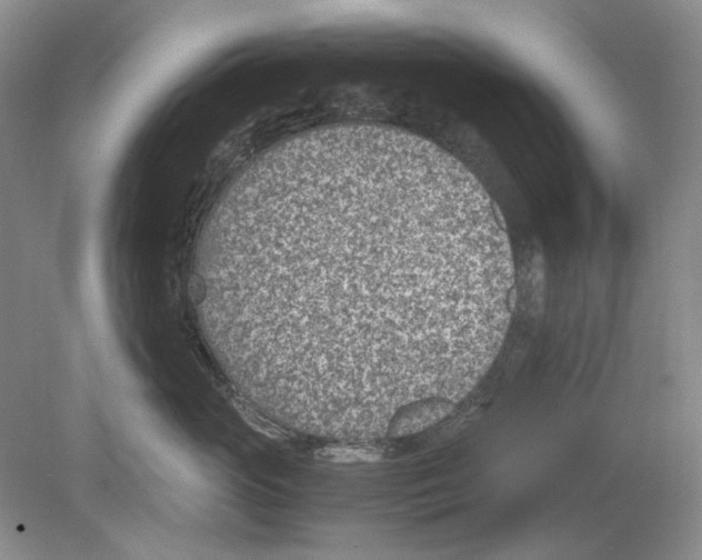 X0000078880765200612111739